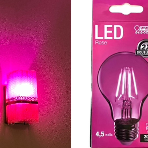 Sexy Pink Rose LED 
Light Bulb A19 4.5 Watts 20,000 Life Hours NEW in Box - Picture 6 of 6